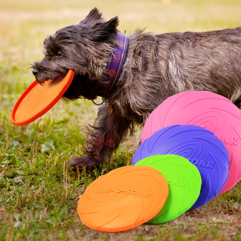 Dog Frisbee